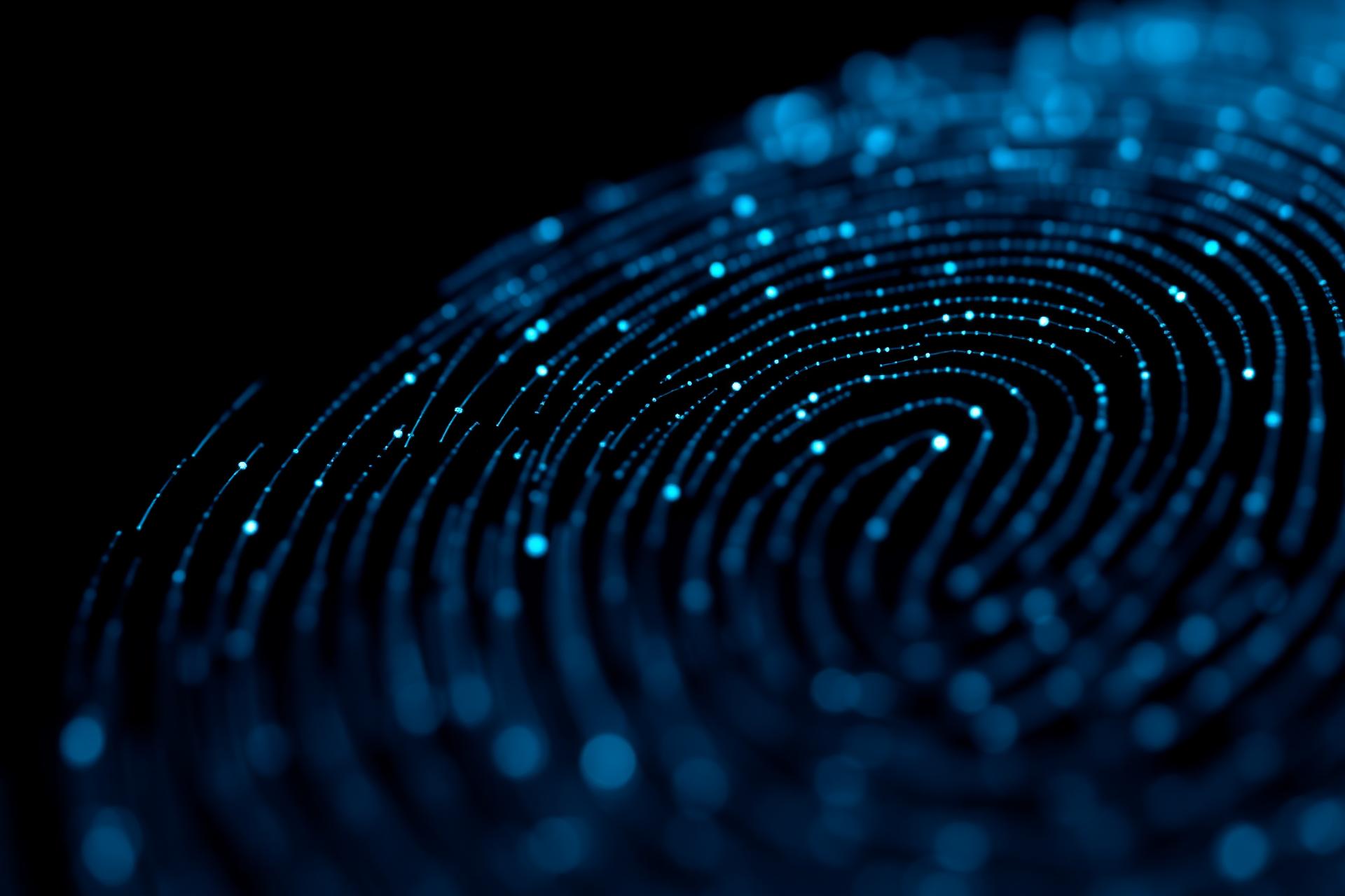 Biometric identity verification